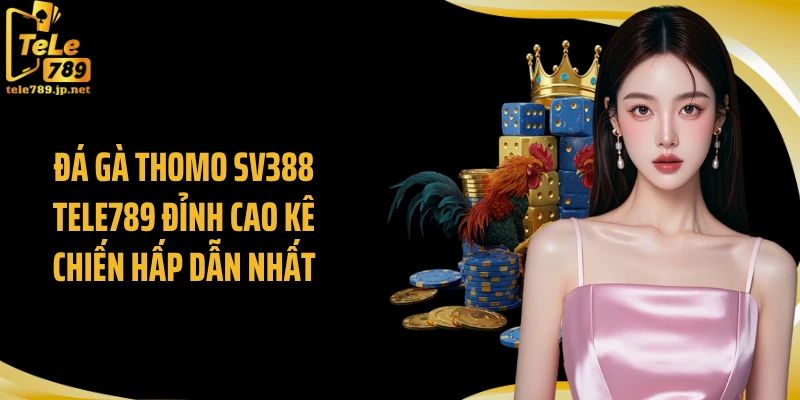 Đá Gà Thomo SV388 TELE789 Đỉnh Cao Kê Chiến Hấp Dẫn Nhất