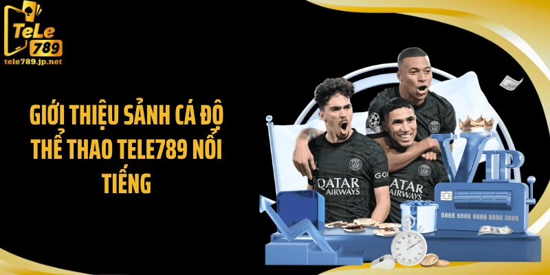 Giới thiệu sảnh cá độ thể thao Tele789 nổi tiếng