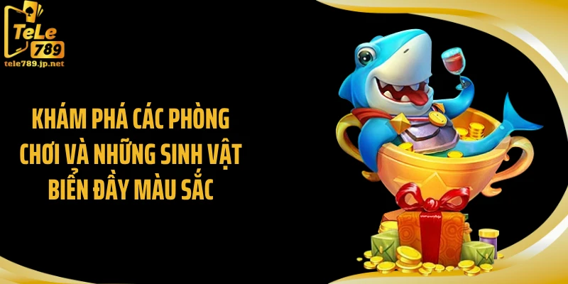 Khám phá các phòng chơi và những sinh vật biển đầy màu sắc