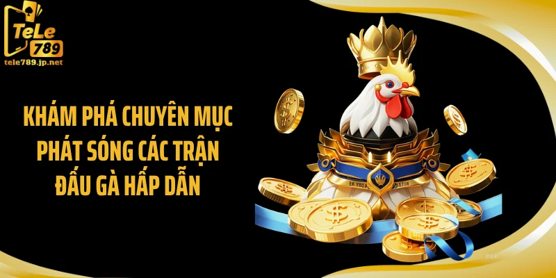 Khám phá chuyên mục phát sóng các trận đấu gà hấp dẫn