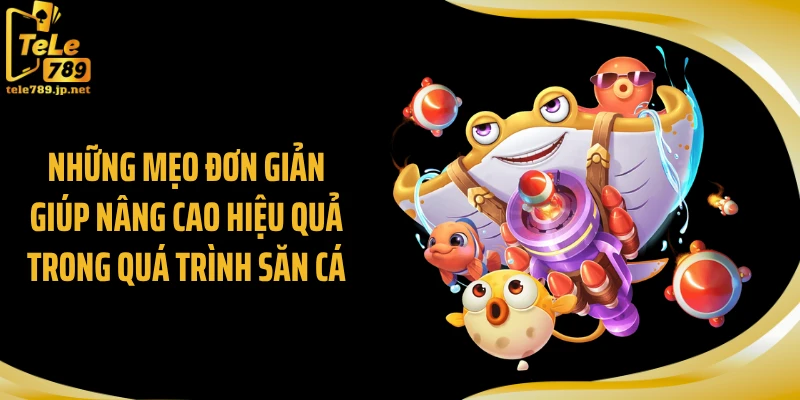 Những mẹo đơn giản giúp nâng cao hiệu quả trong quá trình săn cá