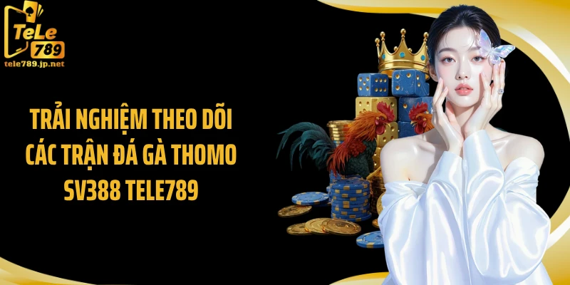 Trải nghiệm theo dõi các trận đá gà thomo SV388 TELE789
